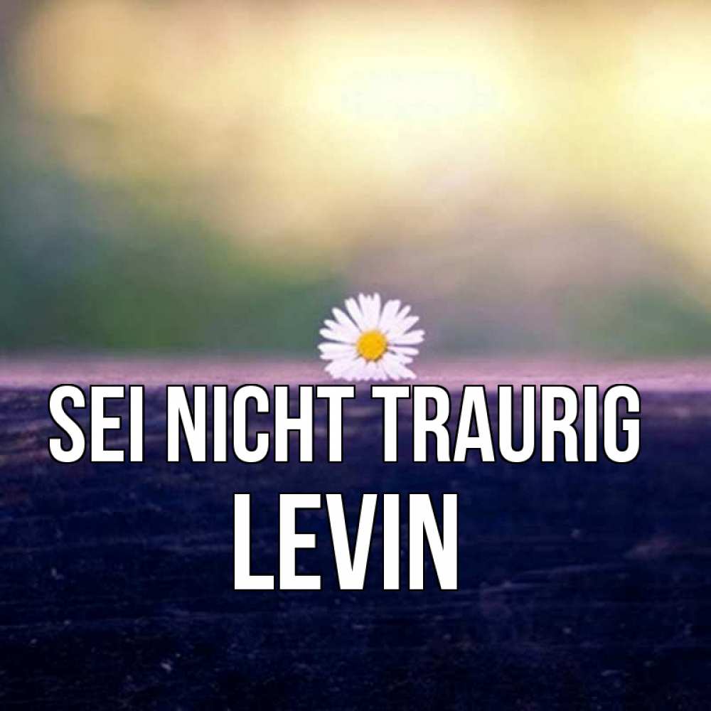 Открытка на каждый день с именем, Levin Sei nicht traurig красота Прикольная открытка с пожеланием онлайн скачать бесплатно 