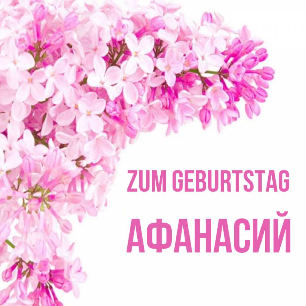 Открытка на каждый день с именем, Афанасий Zum Geburtstag Сирень на белом фоне Прикольная открытка с пожеланием онлайн скачать бесплатно 