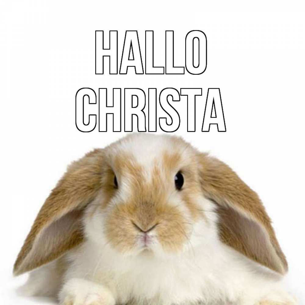 Открытка на каждый день с именем, Christa Hallo с животными Прикольная открытка с пожеланием онлайн скачать бесплатно 