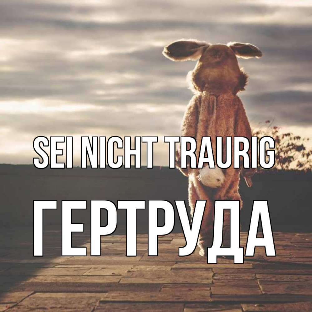 Открытка на каждый день с именем, Гертруда Sei nicht traurig со спины Прикольная открытка с пожеланием онлайн скачать бесплатно 