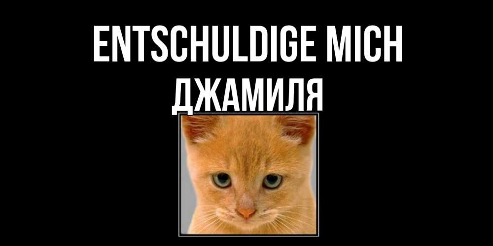 Открытка на каждый день с именем, Джамиля Entschuldige mich рыжий грустный кот просит прощения Прикольная открытка с пожеланием онлайн скачать бесплатно 