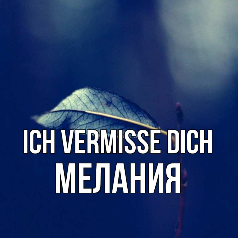Открытка на каждый день с именем, Мелания Ich vermisse dich одна ветка 1 Прикольная открытка с пожеланием онлайн скачать бесплатно 