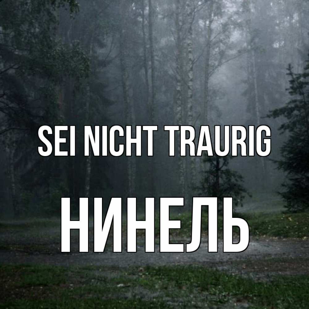 Открытка на каждый день с именем, Нинель Sei nicht traurig осень Прикольная открытка с пожеланием онлайн скачать бесплатно 