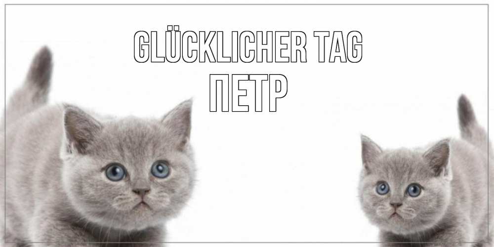Открытка на каждый день с именем, Петр Glücklicher Tag открытка с котами Прикольная открытка с пожеланием онлайн скачать бесплатно 