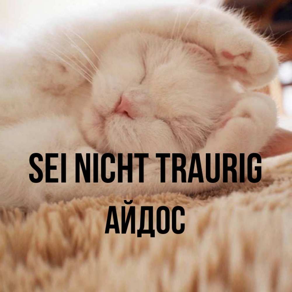 Открытка на каждый день с именем, Айдос Sei nicht traurig Котенок спит Прикольная открытка с пожеланием онлайн скачать бесплатно 