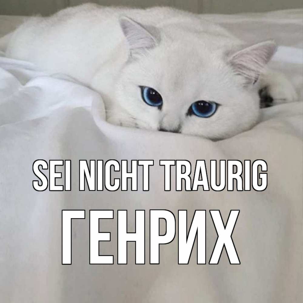 Открытка на каждый день с именем, Генрих Sei nicht traurig белый кот с голубыми глазами на белоснежной кровати Прикольная открытка с пожеланием онлайн скачать бесплатно 