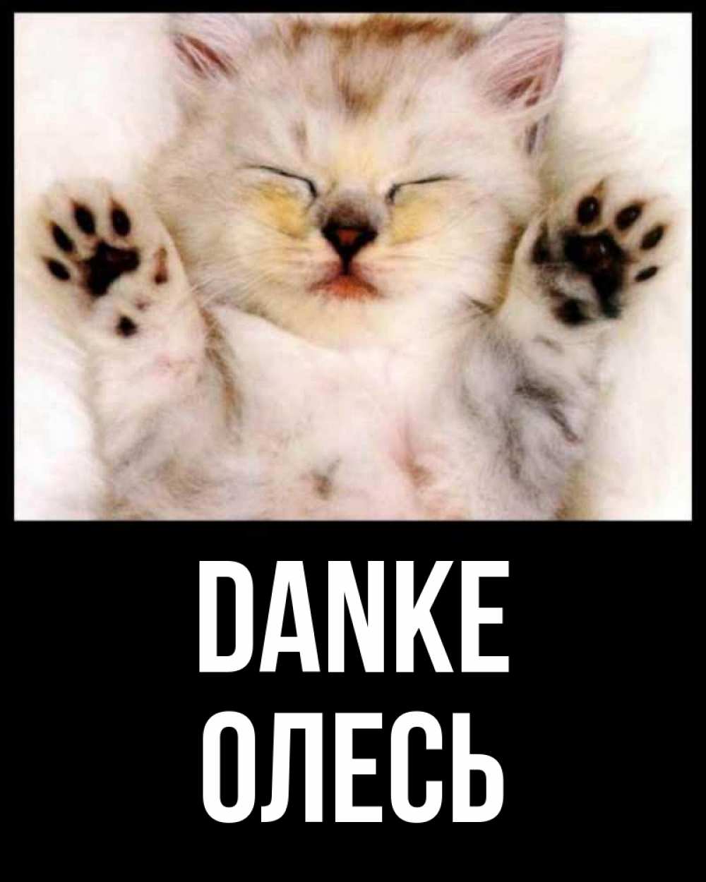Открытка на каждый день с именем, Олесь Danke маленький котенок Прикольная открытка с пожеланием онлайн скачать бесплатно 