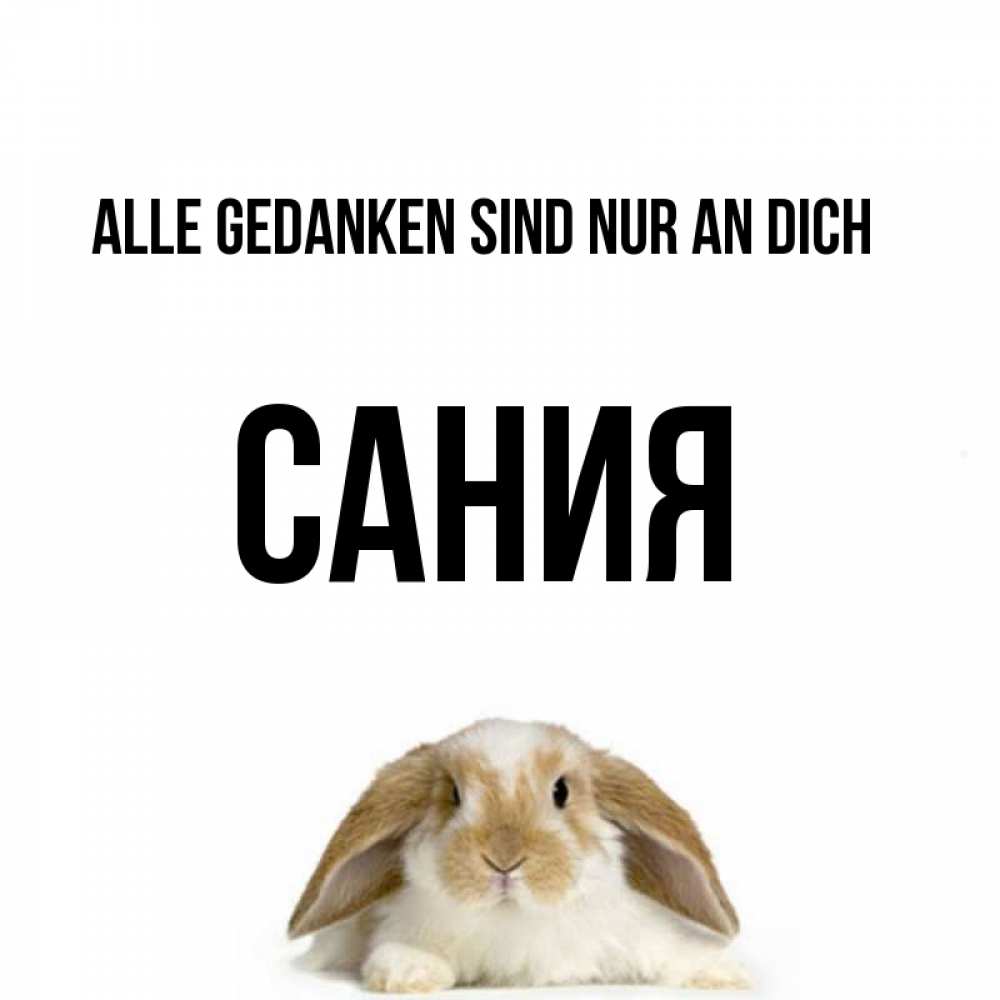 Открытка на каждый день с именем, Сания Alle Gedanken sind nur an dich подписать своими руками онлайн Прикольная открытка с пожеланием онлайн скачать бесплатно 