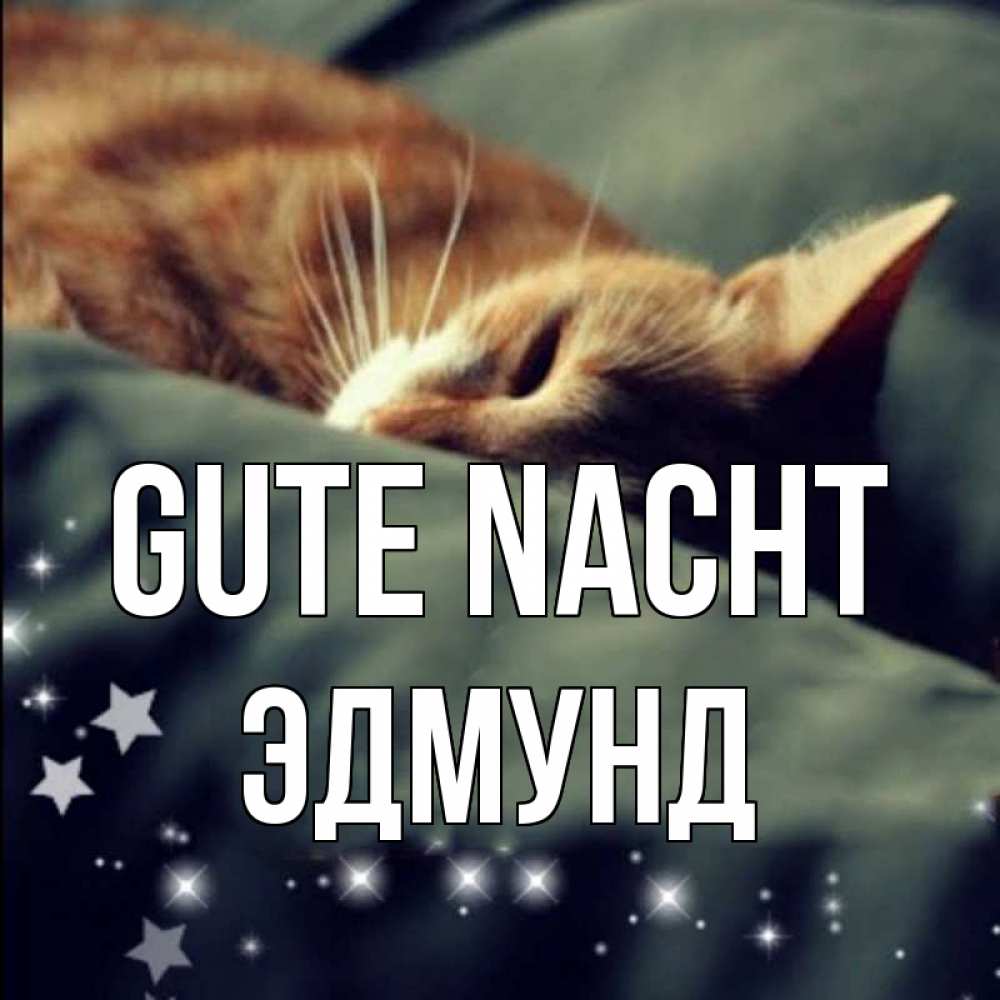 Открытка на каждый день с именем, Эдмунд Gute Nacht кроватка Прикольная открытка с пожеланием онлайн скачать бесплатно 