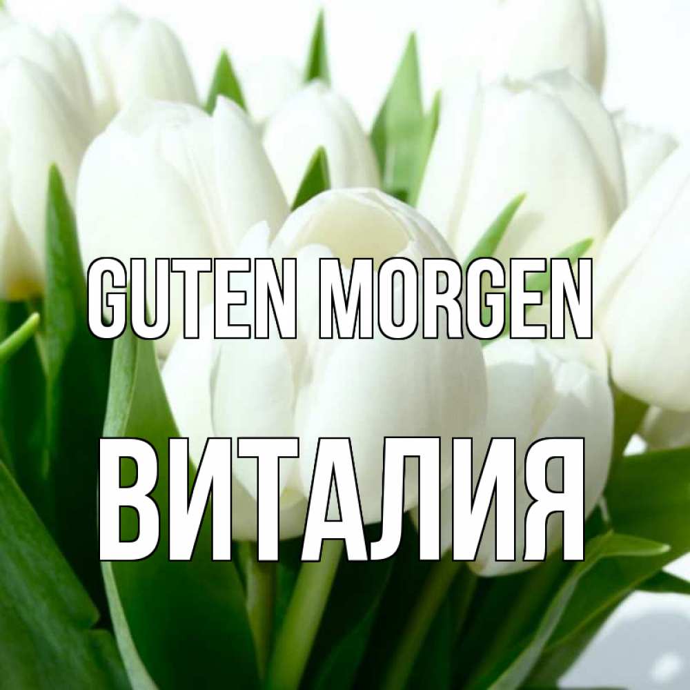 Открытка на каждый день с именем, Виталия Guten Morgen открытки на каждый день по именам Прикольная открытка с пожеланием онлайн скачать бесплатно 