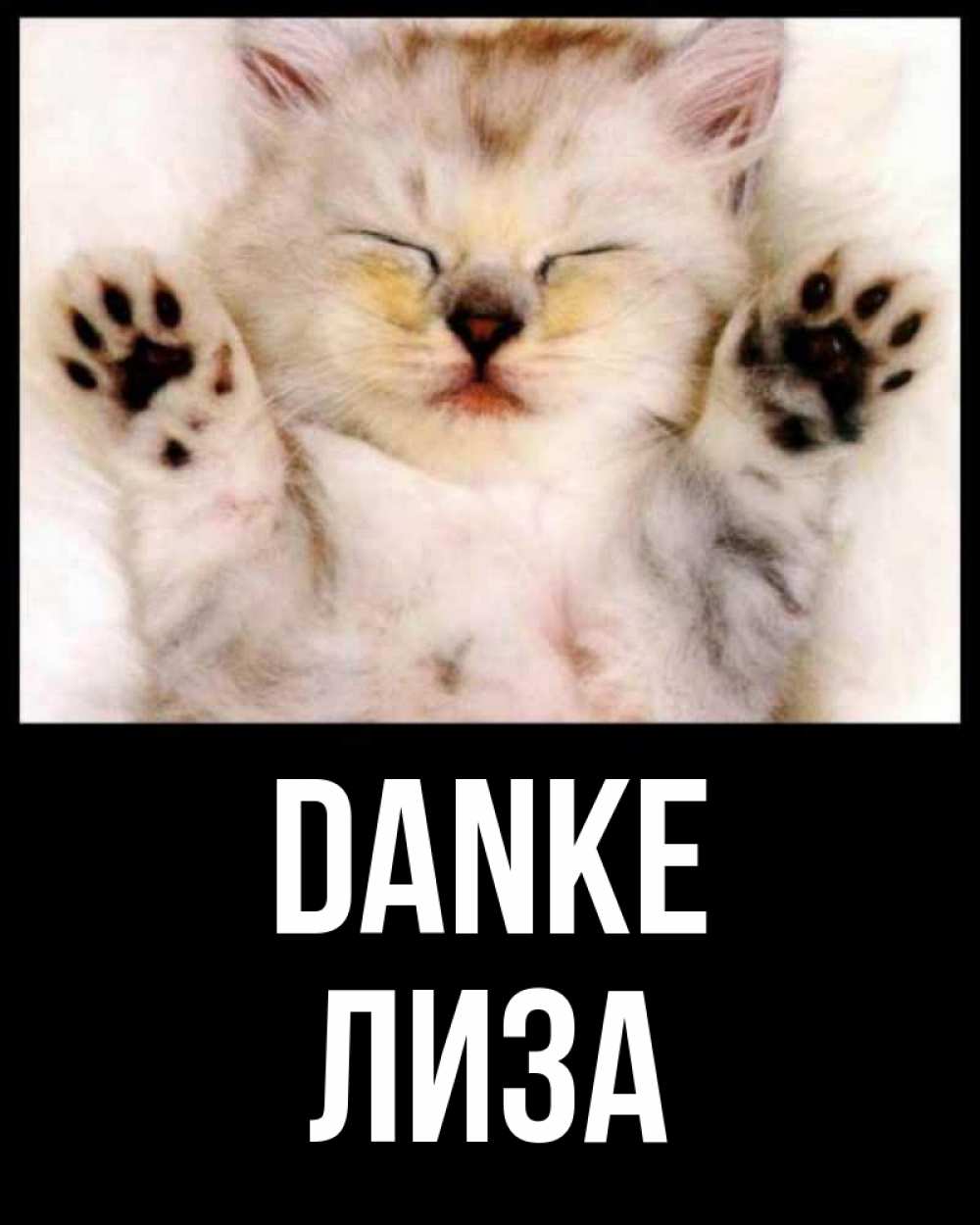 Открытка на каждый день с именем, Лиза Danke маленький котенок Прикольная открытка с пожеланием онлайн скачать бесплатно 