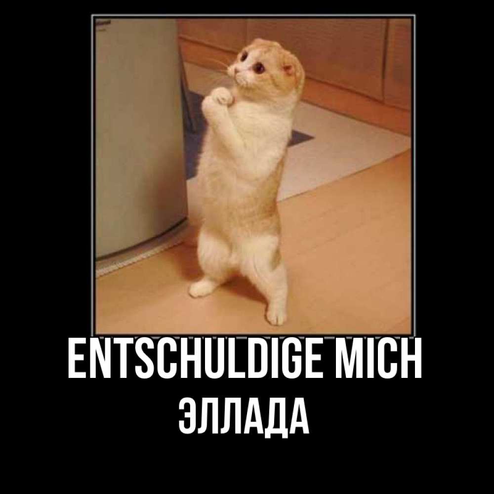 Открытка на каждый день с именем, Эллада Entschuldige mich открытка с милым несчастным котиком просящим прощения Прикольная открытка с пожеланием онлайн скачать бесплатно 