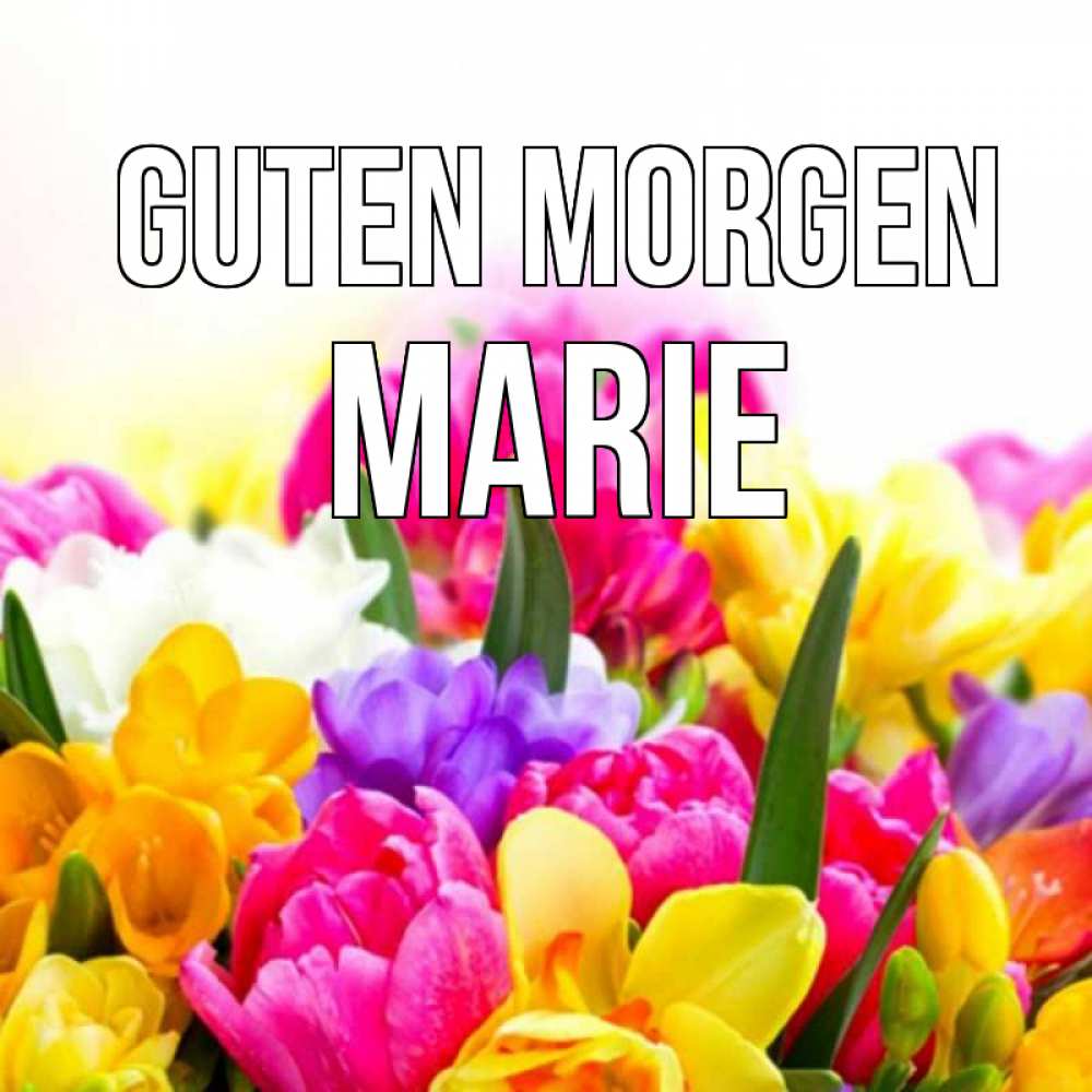 Открытка на каждый день с именем, Marie Guten Morgen создать открытку со свое подписью Прикольная открытка с пожеланием онлайн скачать бесплатно 