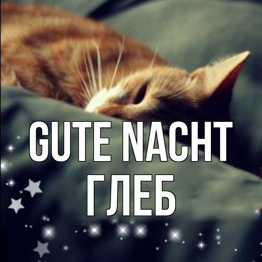 Открытка на каждый день с именем, Глеб Gute Nacht кроватка Прикольная открытка с пожеланием онлайн скачать бесплатно 