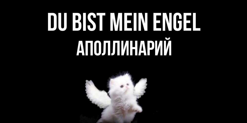 Открытка на каждый день с именем, Аполлинарий Du bist mein Engel Кот ангел Прикольная открытка с пожеланием онлайн скачать бесплатно 