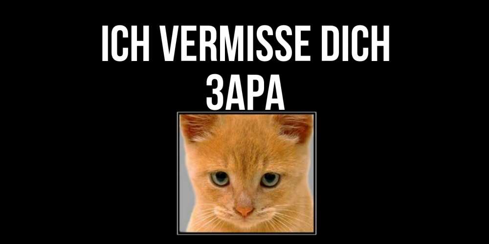 Открытка на каждый день с именем, Зара Ich vermisse dich открытки рыжий котенок скучает по тебе Прикольная открытка с пожеланием онлайн скачать бесплатно 