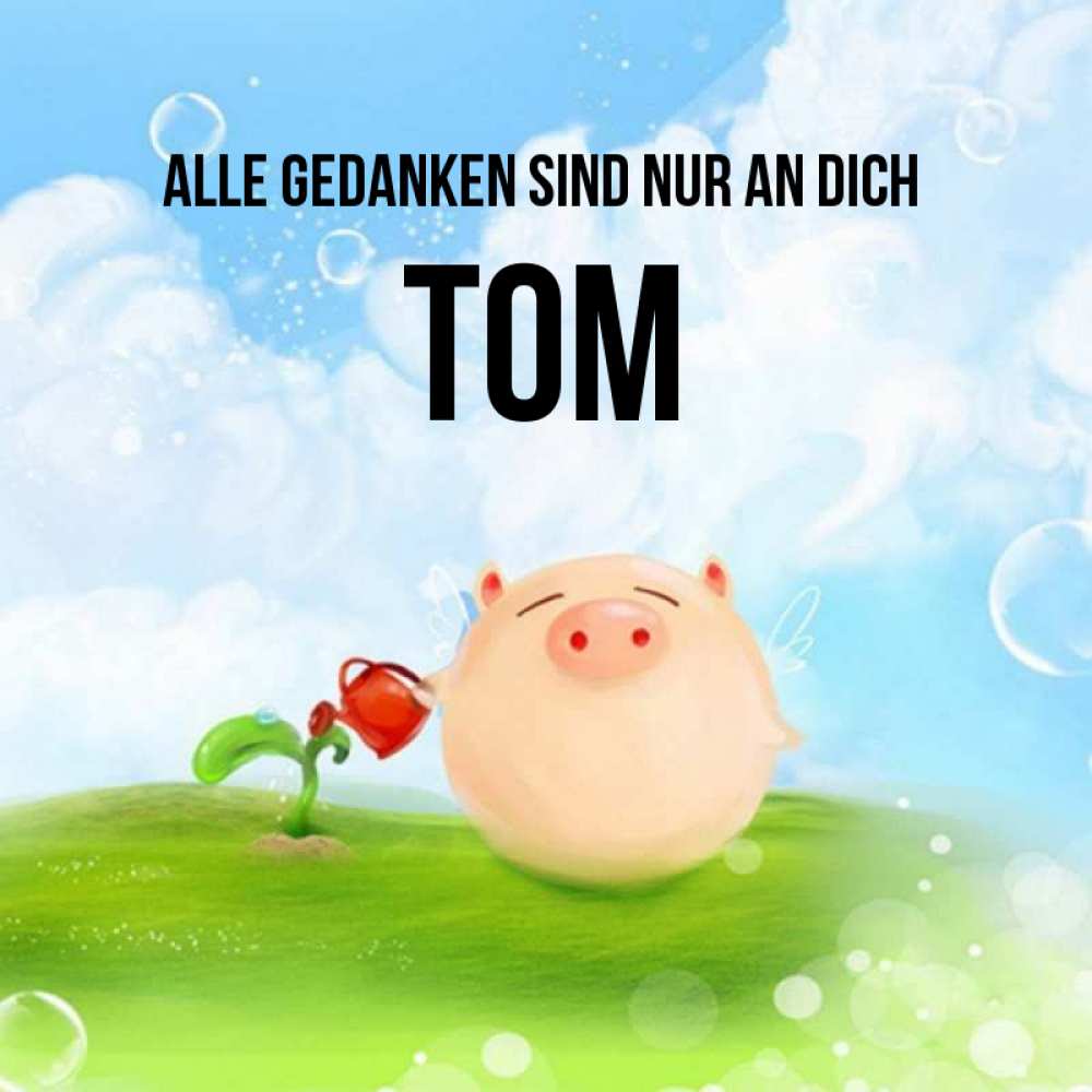 Открытка на каждый день с именем, Tom Alle Gedanken sind nur an dich позитивная свинюшка Прикольная открытка с пожеланием онлайн скачать бесплатно 