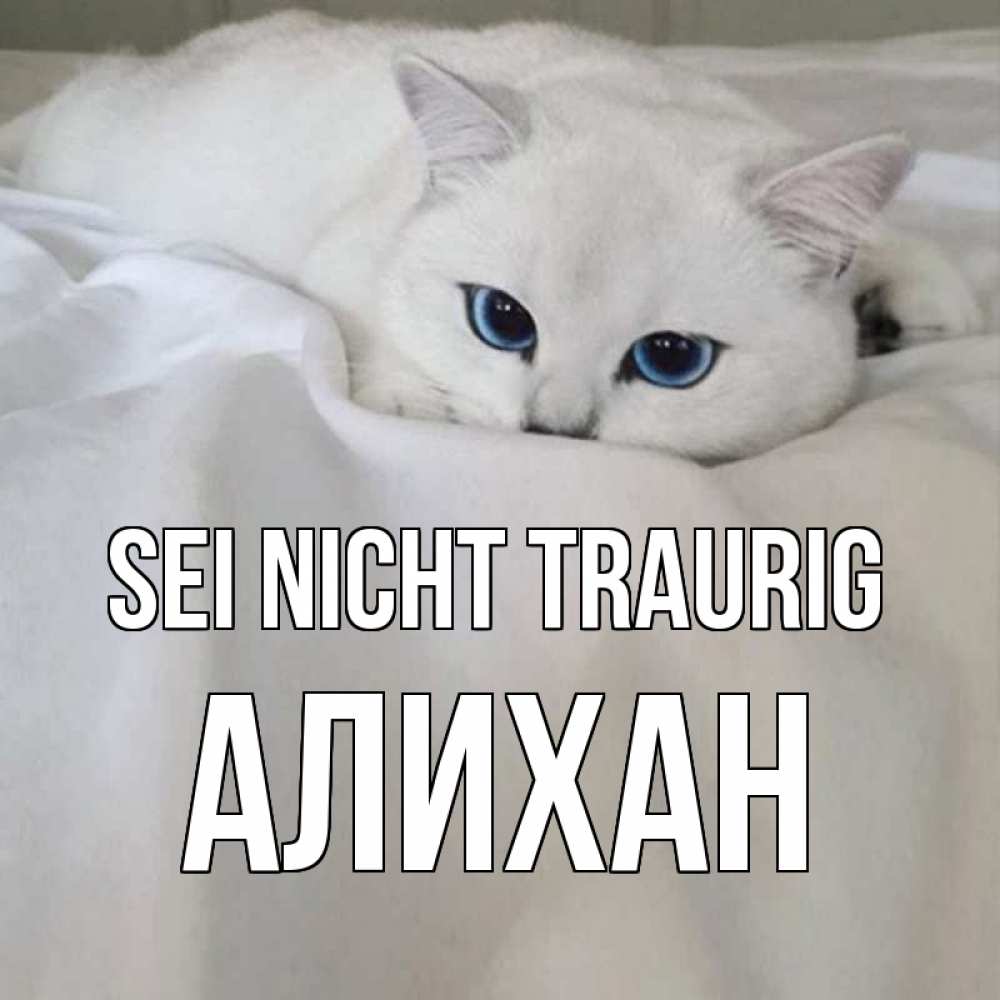Открытка на каждый день с именем, Алихан Sei nicht traurig белый кот с голубыми глазами на белоснежной кровати Прикольная открытка с пожеланием онлайн скачать бесплатно 