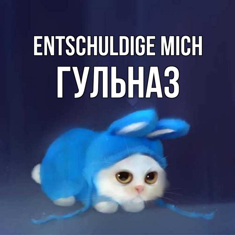 Открытка на каждый день с именем, Гульназ Entschuldige mich невинный котозай просит прощения Прикольная открытка с пожеланием онлайн скачать бесплатно 