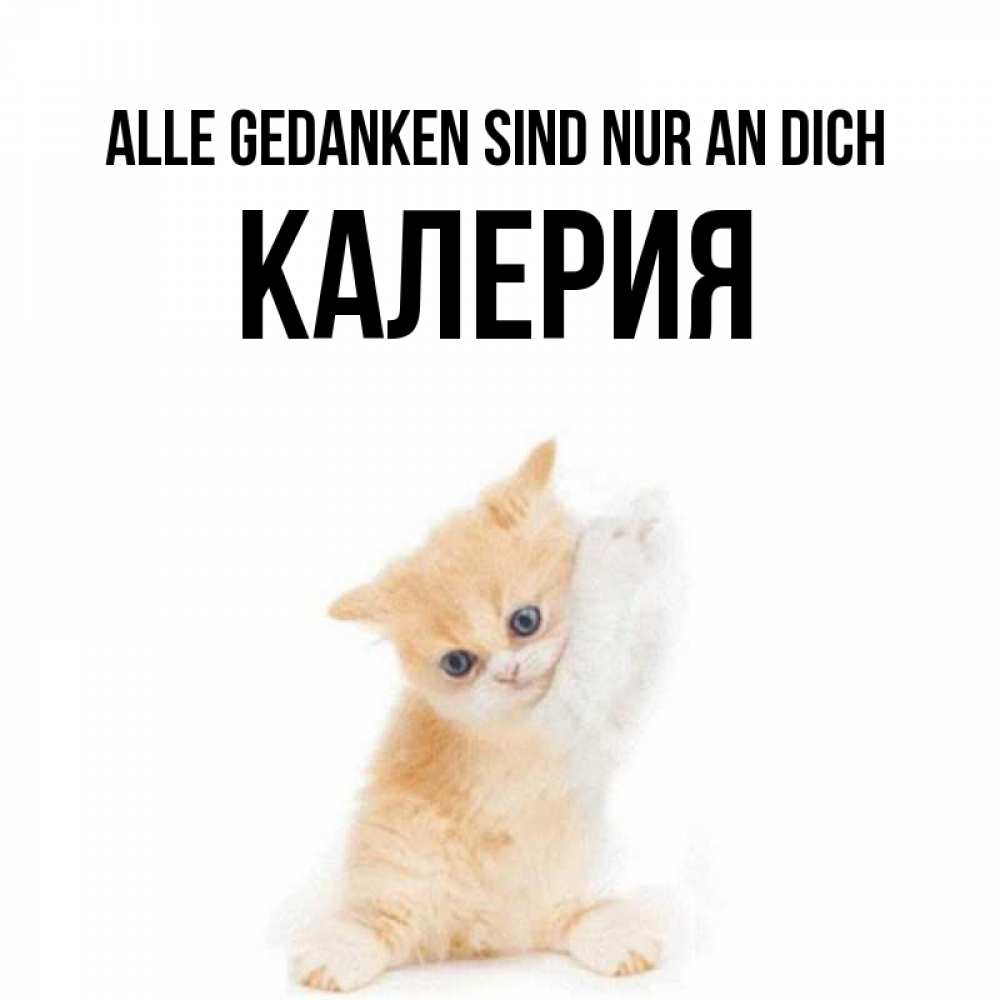 Открытка на каждый день с именем, Калерия Alle Gedanken sind nur an dich зверушки и милота Прикольная открытка с пожеланием онлайн скачать бесплатно 