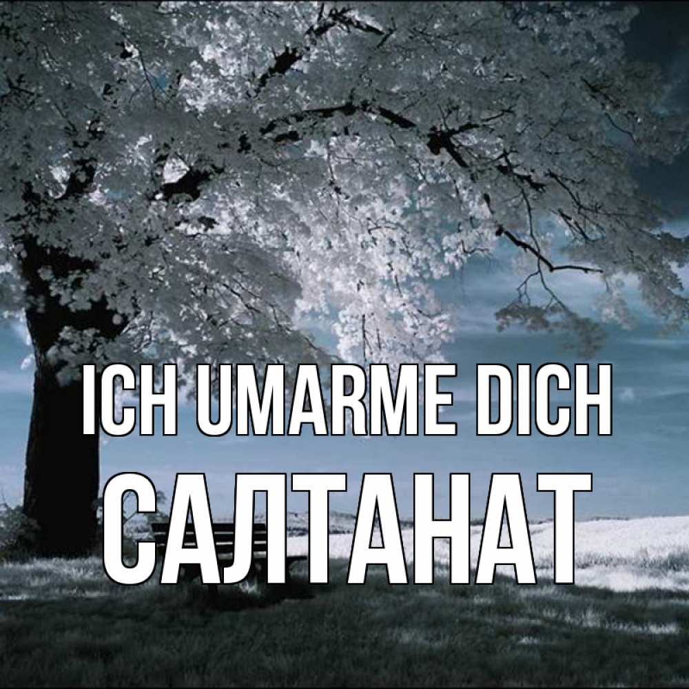 Открытка на каждый день с именем, Салтанат Ich umarme dich дерево Прикольная открытка с пожеланием онлайн скачать бесплатно 