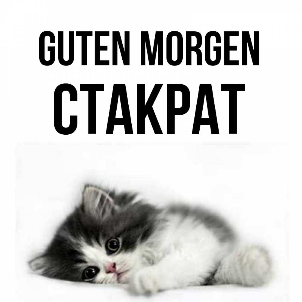 Открытка на каждый день с именем, Стакрат Guten Morgen кот лапки Прикольная открытка с пожеланием онлайн скачать бесплатно 