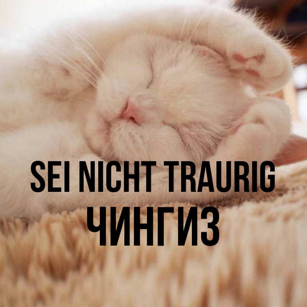 Открытка на каждый день с именем, Чингиз Sei nicht traurig Котенок спит Прикольная открытка с пожеланием онлайн скачать бесплатно 