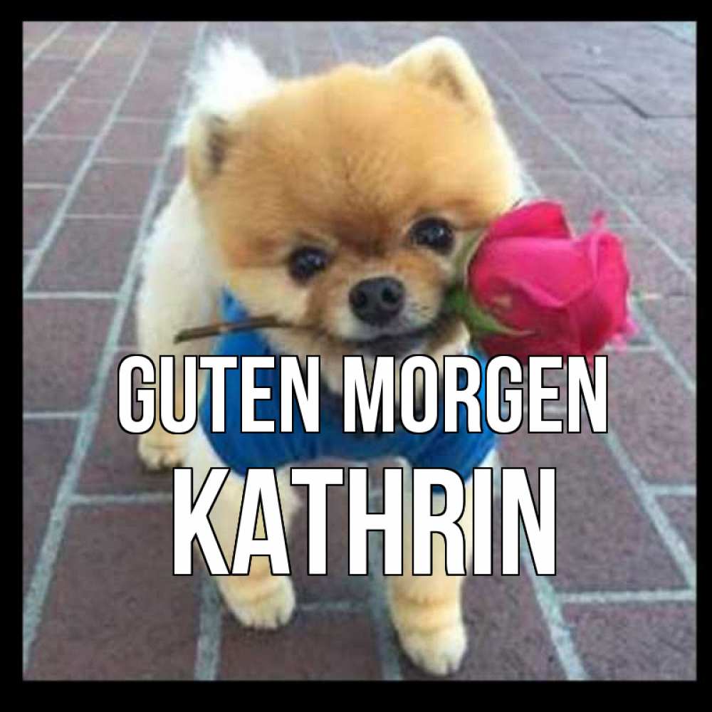 Открытка на каждый день с именем, Kathrin Guten Morgen роза в зубах Прикольная открытка с пожеланием онлайн скачать бесплатно 