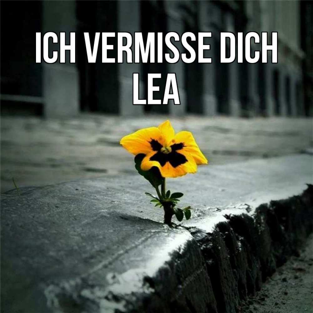 Открытка на каждый день с именем, Lea Ich vermisse dich надеюсь будет лучше Прикольная открытка с пожеланием онлайн скачать бесплатно 
