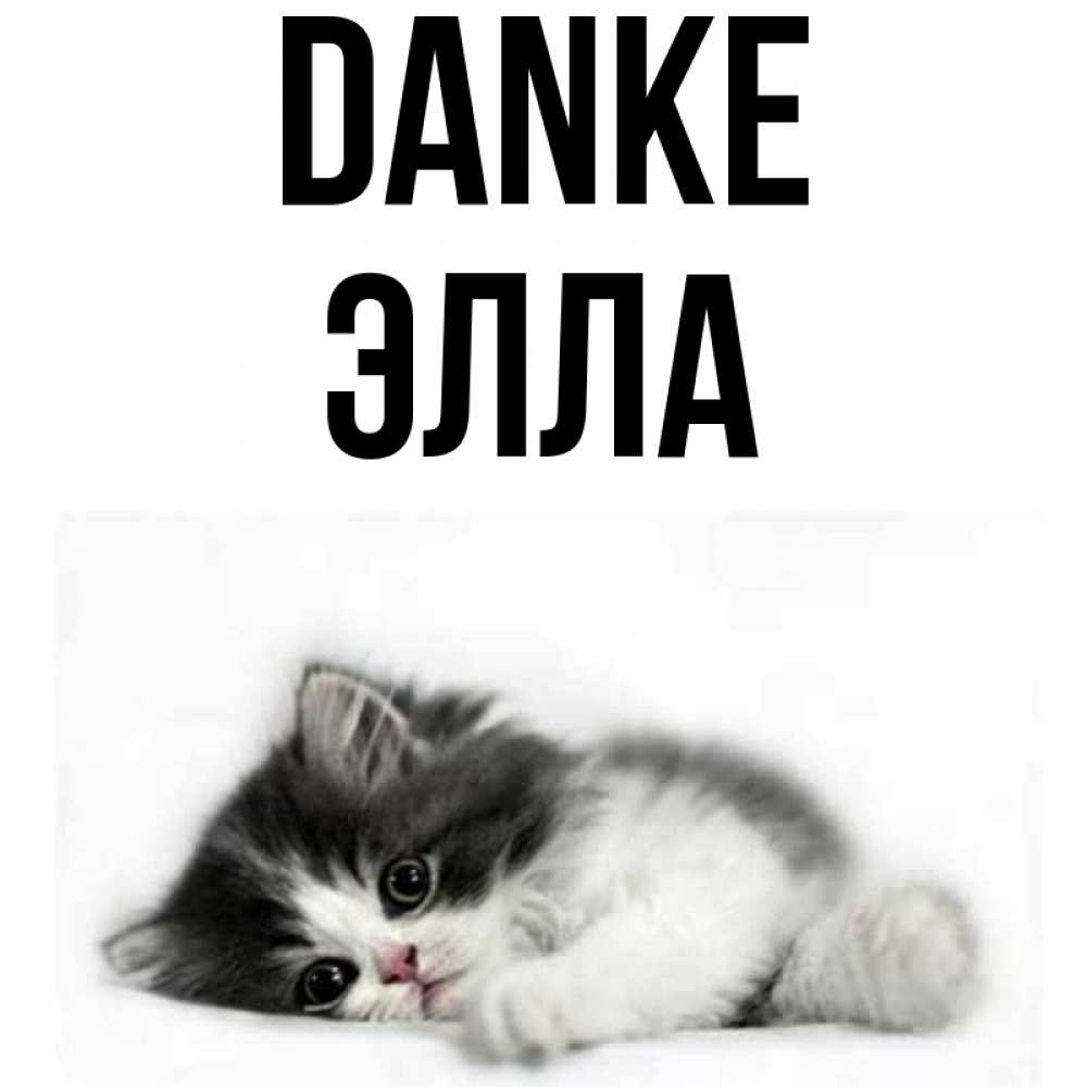 Открытка на каждый день с именем, Элла Danke черный и белый кот Прикольная открытка с пожеланием онлайн скачать бесплатно 