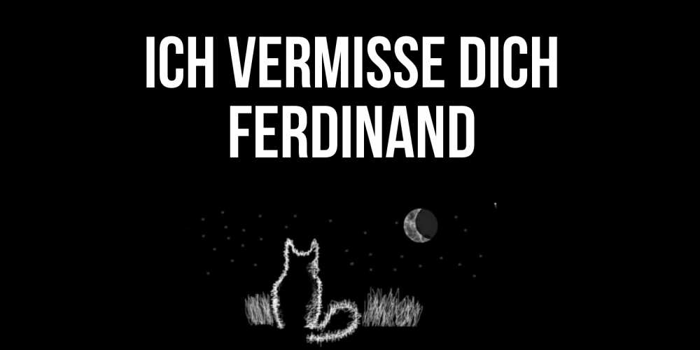 Открытка на каждый день с именем, Ferdinand Ich vermisse dich кот Прикольная открытка с пожеланием онлайн скачать бесплатно 