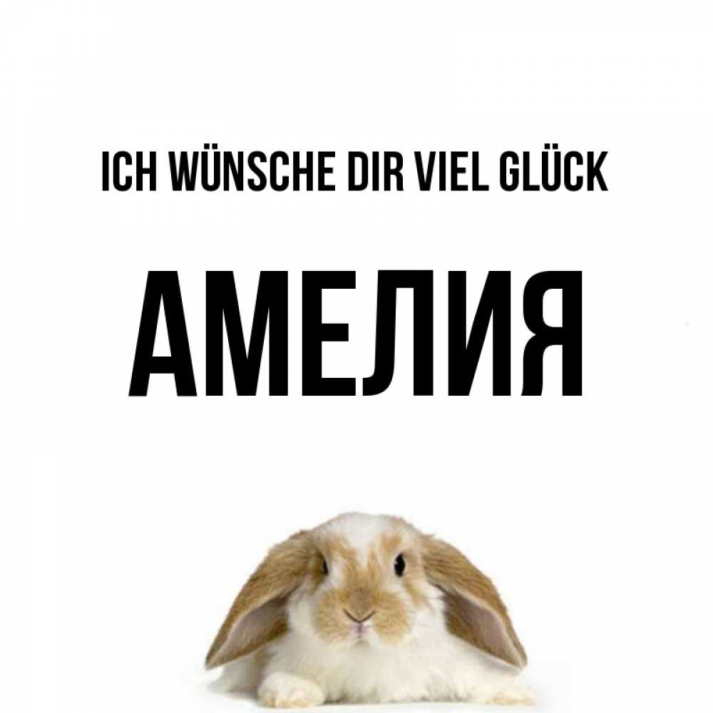 Открытка на каждый день с именем, Амелия Ich wünsche dir viel Glück открытки с произвольным текстом который можно вставить в открытку и создать ее самостоятельно бесплатно онлайн Прикольная открытка с пожеланием онлайн скачать бесплатно 