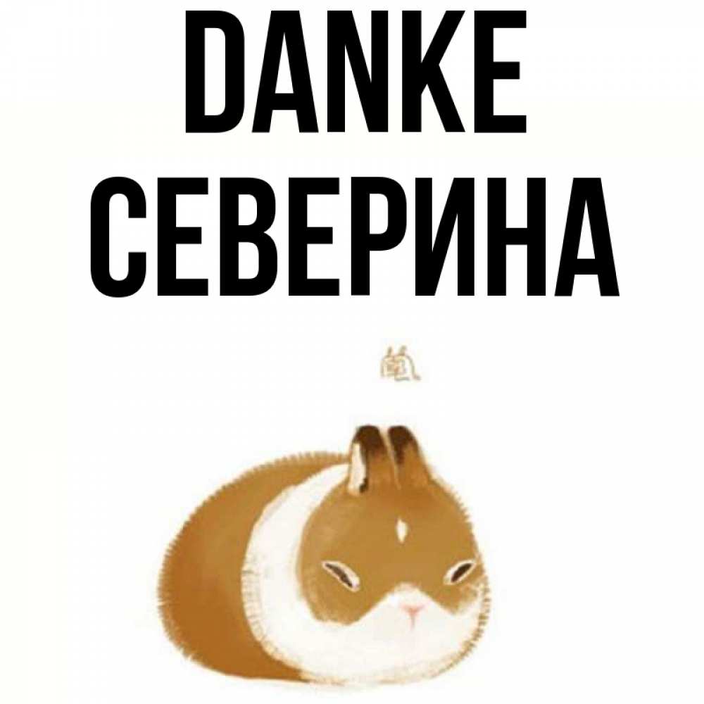 Открытка на каждый день с именем, Северина Danke коричнево белый домашний питомец Прикольная открытка с пожеланием онлайн скачать бесплатно 