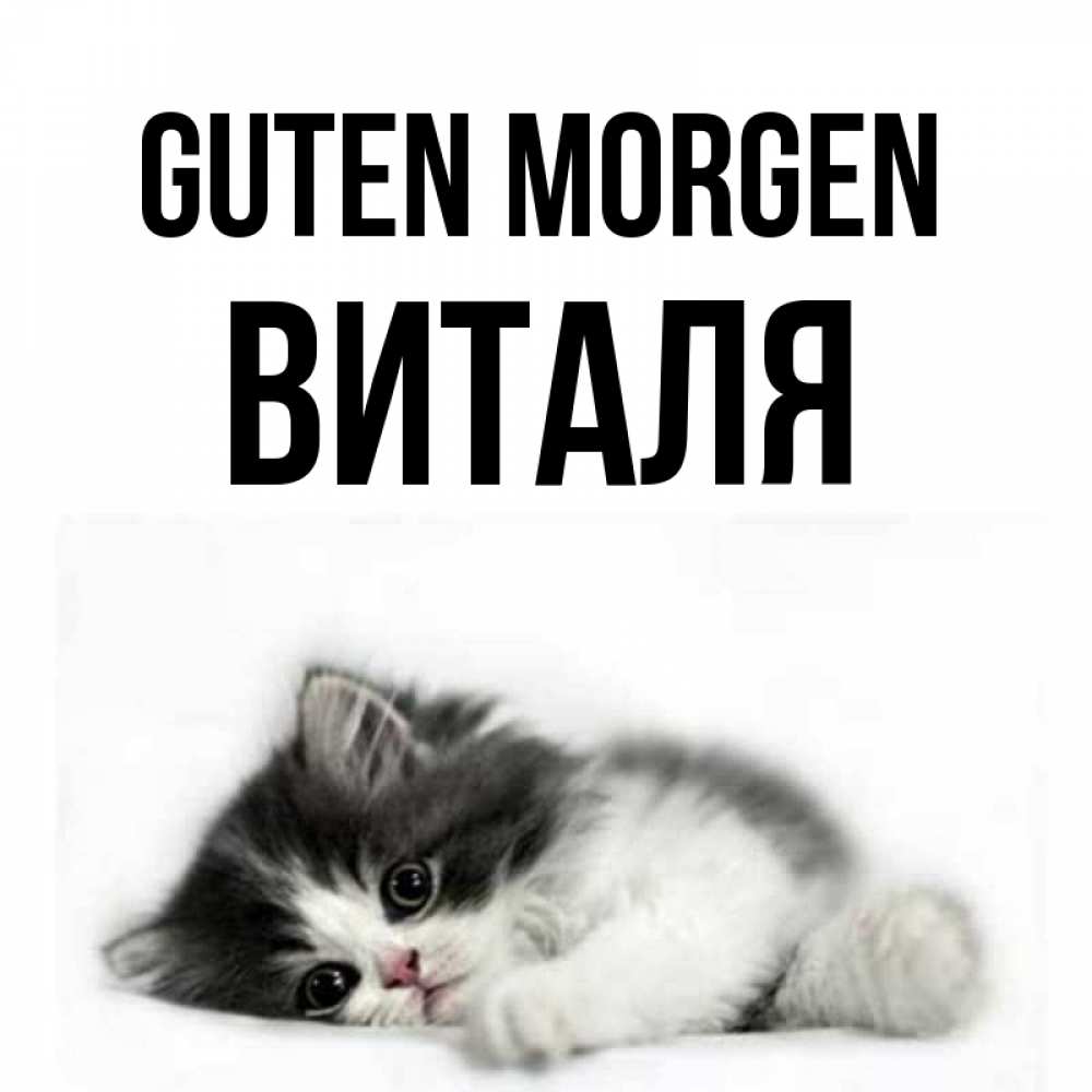 Открытка на каждый день с именем, Виталя Guten Morgen кот лапки Прикольная открытка с пожеланием онлайн скачать бесплатно 
