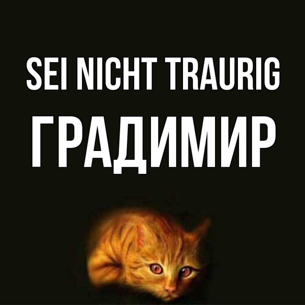 Открытка на каждый день с именем, Градимир Sei nicht traurig лежащий кот в темноте Прикольная открытка с пожеланием онлайн скачать бесплатно 