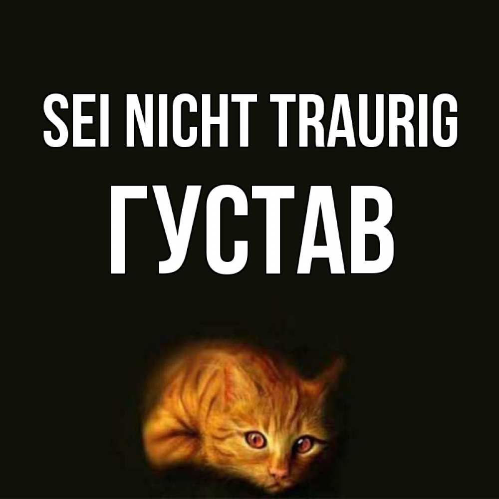 Открытка на каждый день с именем, Густав Sei nicht traurig лежащий кот в темноте Прикольная открытка с пожеланием онлайн скачать бесплатно 