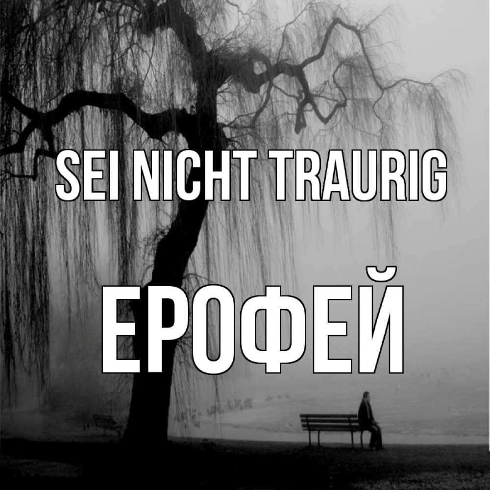 Открытка на каждый день с именем, Ерофей Sei nicht traurig висящие ветки дерева и лавочка под деревом Прикольная открытка с пожеланием онлайн скачать бесплатно 
