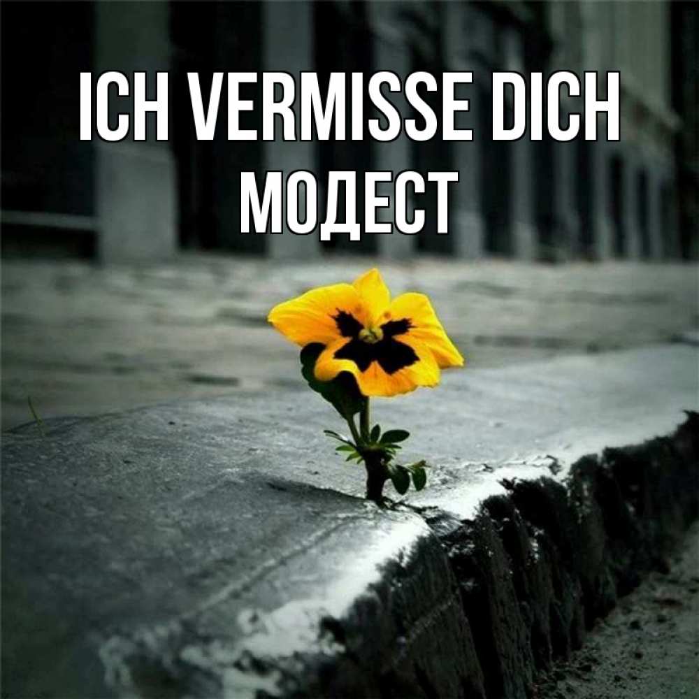 Открытка на каждый день с именем, Модест Ich vermisse dich надеюсь будет лучше Прикольная открытка с пожеланием онлайн скачать бесплатно 