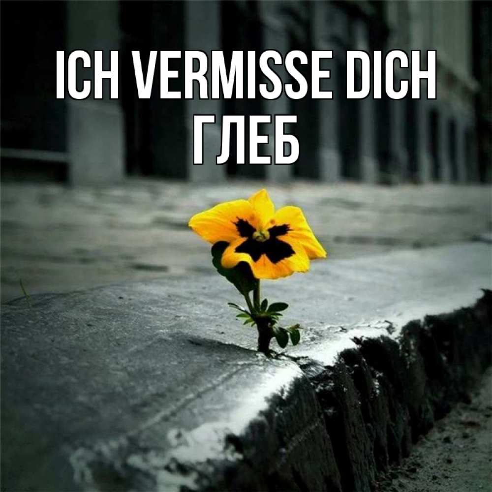 Открытка на каждый день с именем, Глеб Ich vermisse dich надеюсь будет лучше Прикольная открытка с пожеланием онлайн скачать бесплатно 