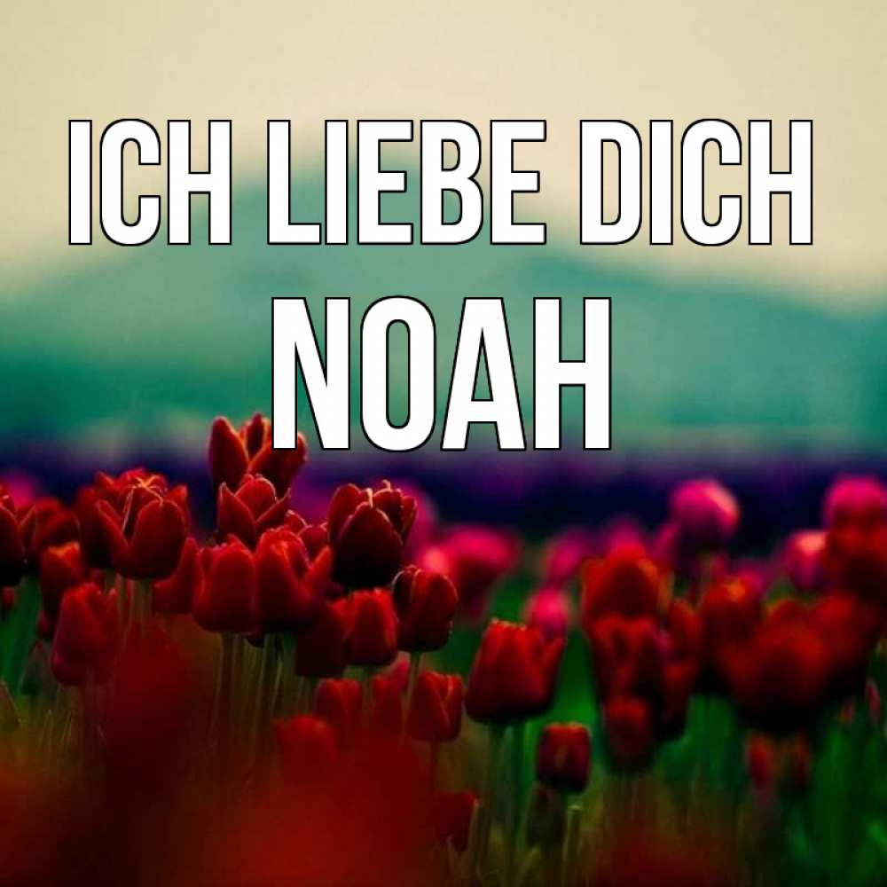 Открытка на каждый день с именем, Noah Ich liebe dich тюльпаны 4 Прикольная открытка с пожеланием онлайн скачать бесплатно 