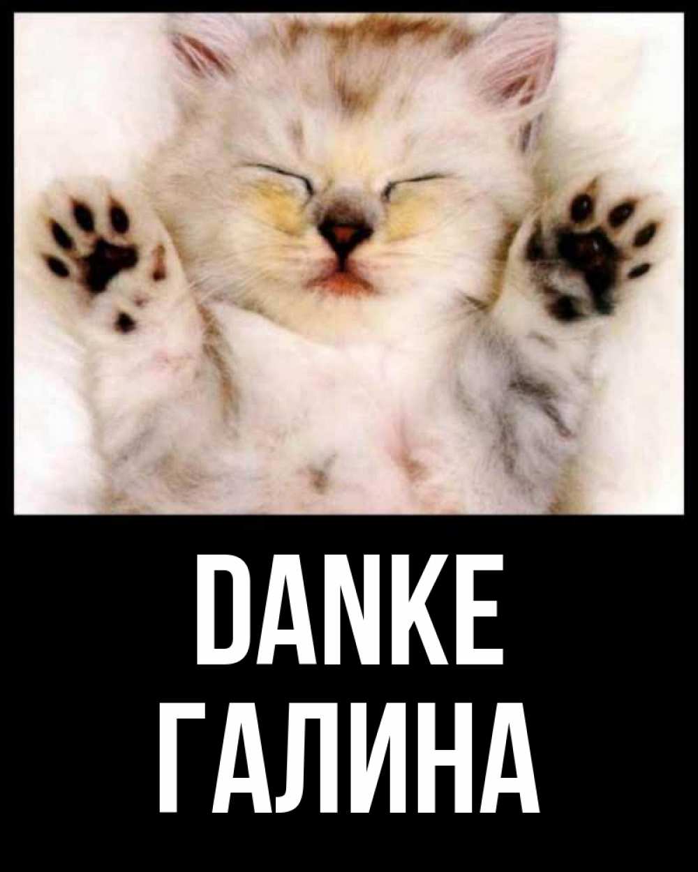 Открытка на каждый день с именем, Галина Danke маленький котенок Прикольная открытка с пожеланием онлайн скачать бесплатно 
