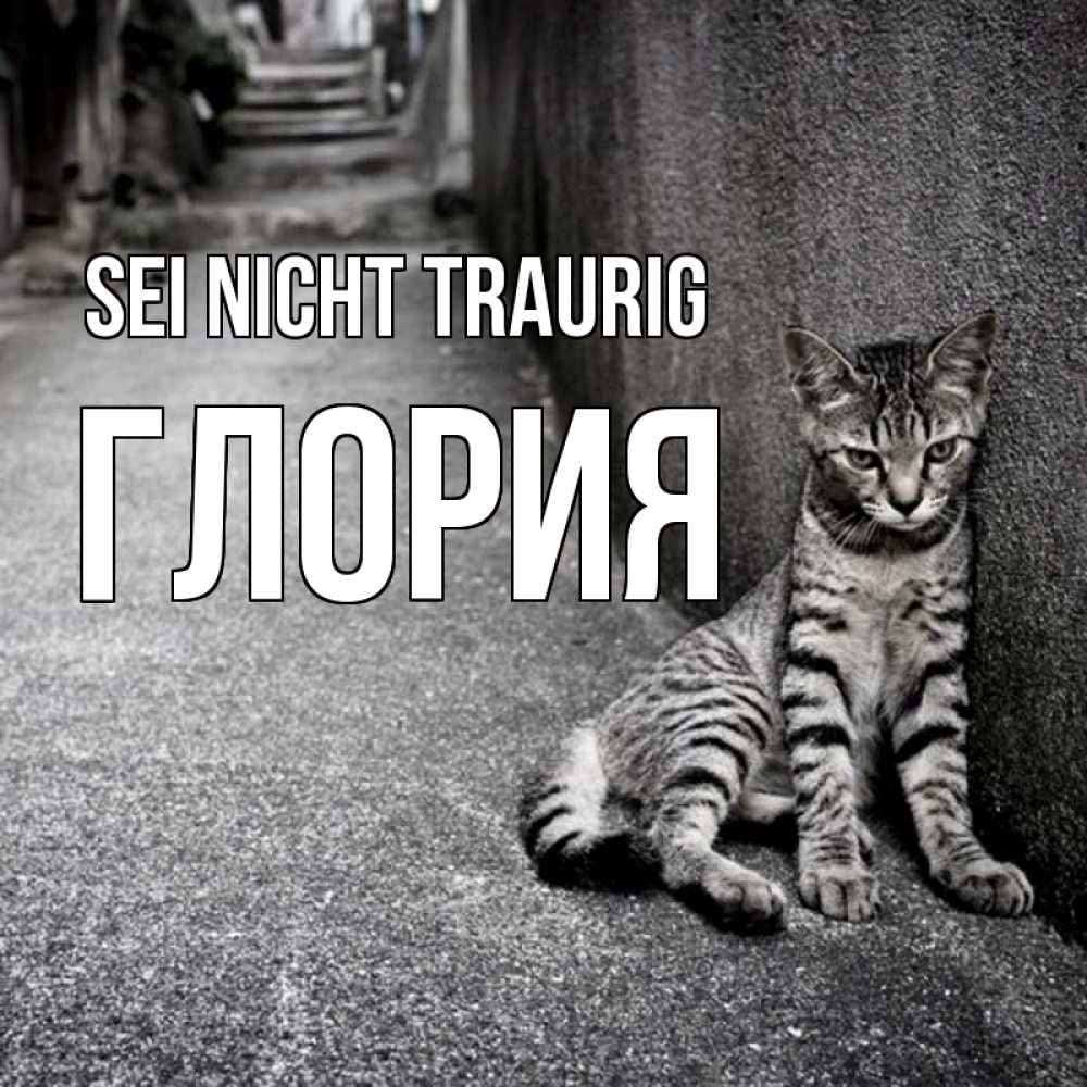 Открытка на каждый день с именем, Глория Sei nicht traurig скучающий котик Прикольная открытка с пожеланием онлайн скачать бесплатно 
