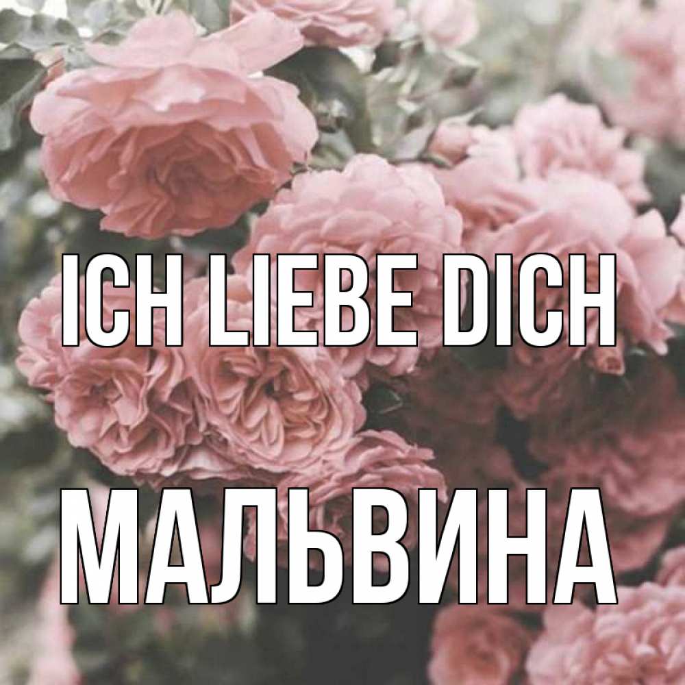 Открытка на каждый день с именем, Мальвина Ich liebe dich розы 3 Прикольная открытка с пожеланием онлайн скачать бесплатно 