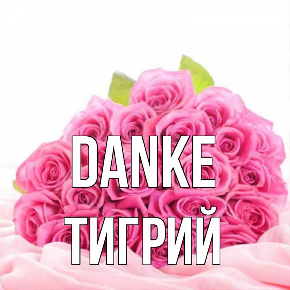 Открытка на каждый день с именем, Тигрий Danke розовые розы с подписью Прикольная открытка с пожеланием онлайн скачать бесплатно 