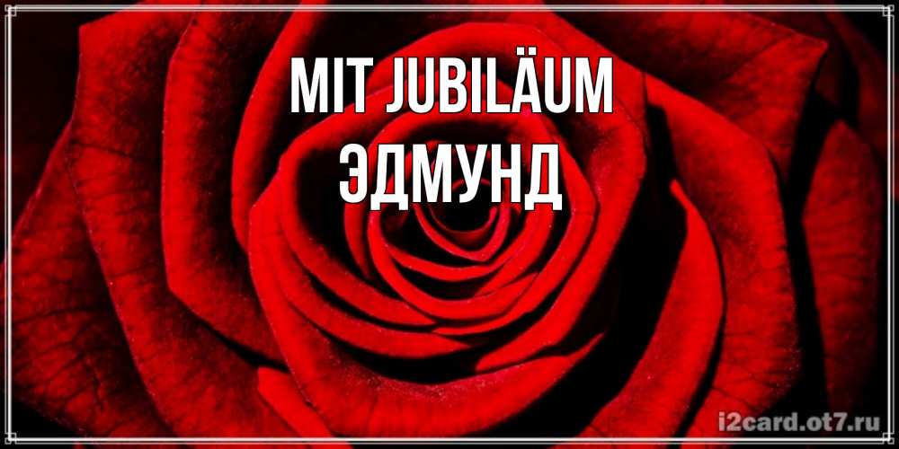 Открытка на каждый день с именем, Эдмунд Mit Jubiläum алая роза Прикольная открытка с пожеланием онлайн скачать бесплатно 