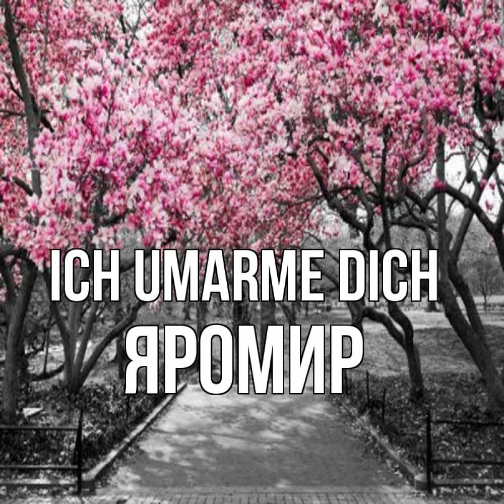 Открытка на каждый день с именем, Яромир Ich umarme dich обработанное фото Прикольная открытка с пожеланием онлайн скачать бесплатно 
