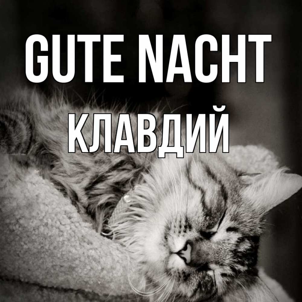 Открытка на каждый день с именем, Клавдий Gute Nacht котярик пушистый Прикольная открытка с пожеланием онлайн скачать бесплатно 