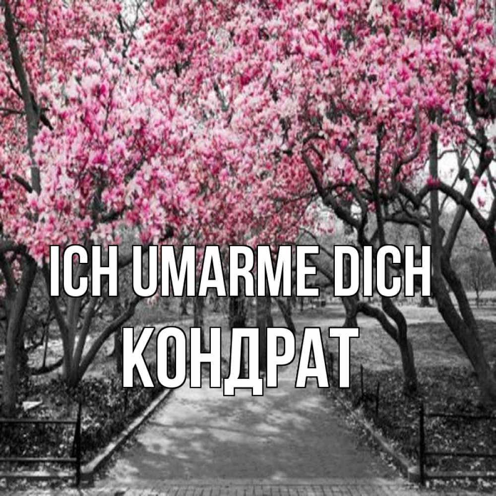 Открытка на каждый день с именем, Кондрат Ich umarme dich обработанное фото Прикольная открытка с пожеланием онлайн скачать бесплатно 