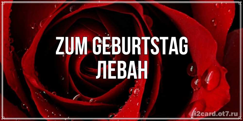 Открытка на каждый день с именем, Леван Zum Geburtstag крупная бордовая роза Прикольная открытка с пожеланием онлайн скачать бесплатно 