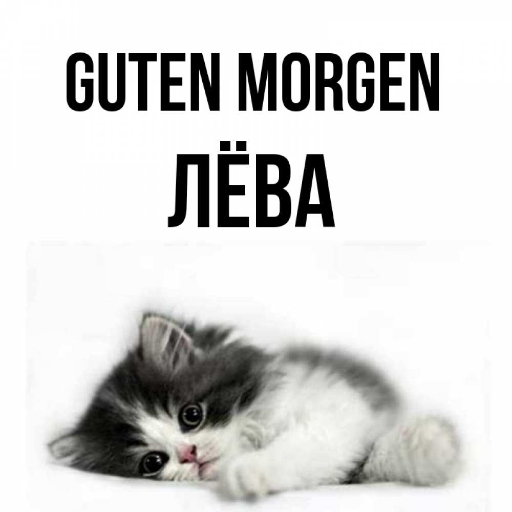 Открытка на каждый день с именем, Лёва Guten Morgen кот лапки Прикольная открытка с пожеланием онлайн скачать бесплатно 